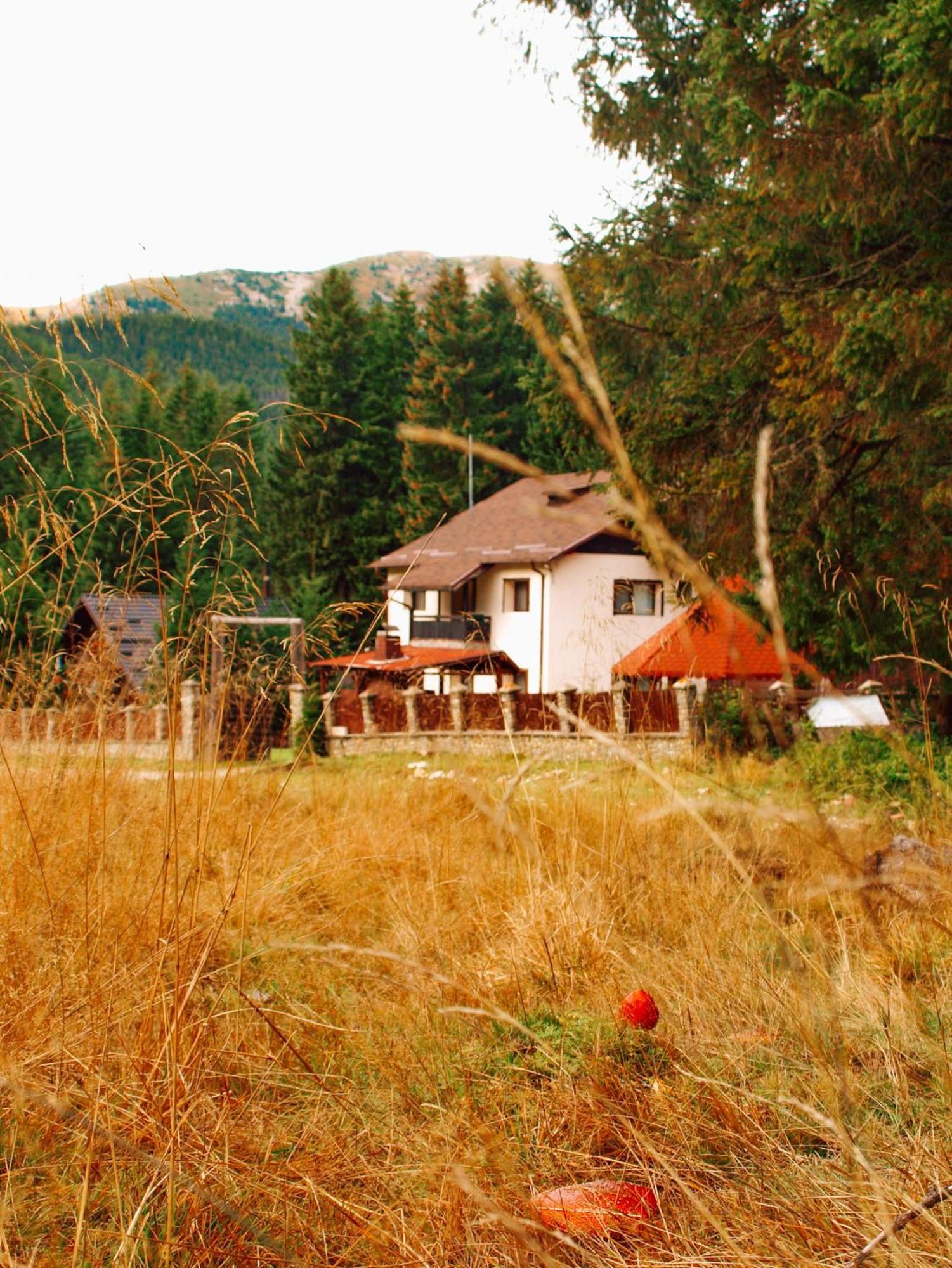 Mounthoff Retreat Villa Moroeni Exteriör bild